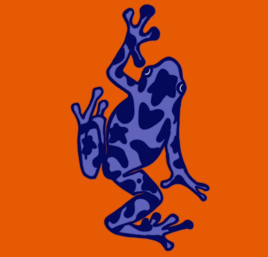 Poison Dart Frog 2025