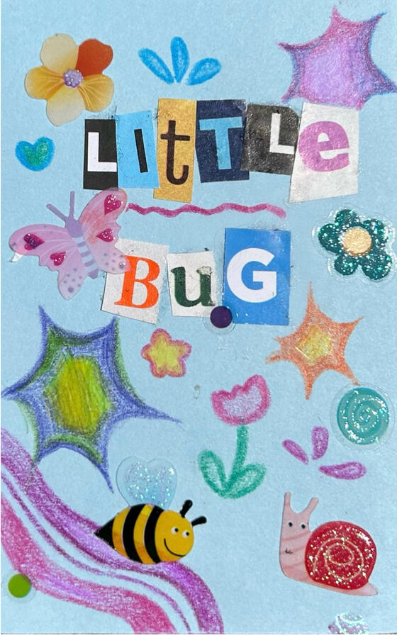 Little Bug Zine (Outside) 2024