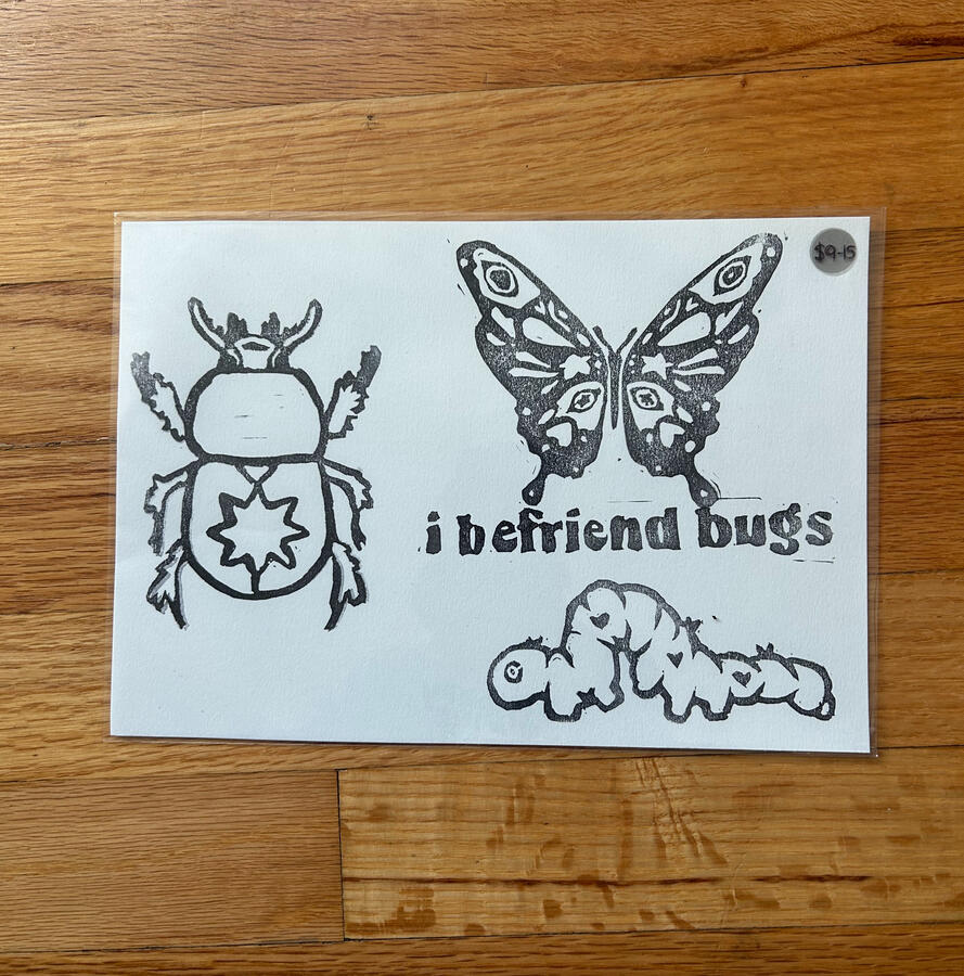 Befriend Bugs Beetle 2025